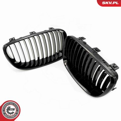 GRILA RADIATOR ESEN SKV 66SKV006 3