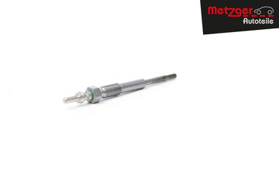 BUJIE INCANDESCENTA METZGER AUTOTEILE H1369 14