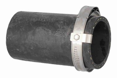 FURTUN EAR SUPRAALIMENTARE ACKOJA A520883 3