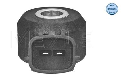 Klop verbrandings sensor past: INFINITI FX  NISSAN 350Z, MURANO I, PATHFINDER II  RENAULT ESPACE IV, VEL SATIS  SUBARU LEGACY IV, OUTBACK 3.0/3.5/4.5 10.00-12.15
