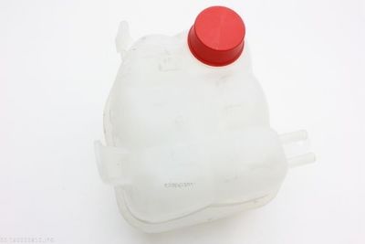 VAS DE EXPANSIUNE RACIRE