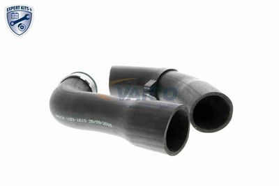 FURTUN EAR SUPRAALIMENTARE VAICO V201615 3