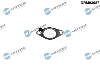 Uszczelnienie, zawór AGR DR.MOTOR AUTOMOTIVE DRM03087