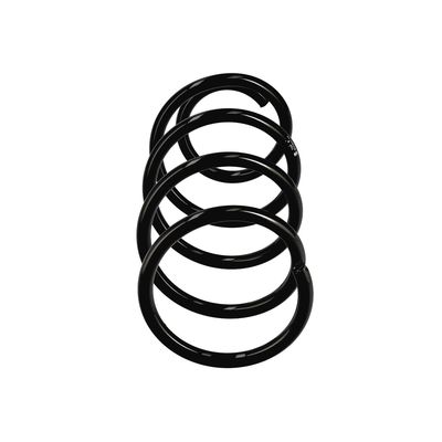 ARC SPIRAL EIBACH R23041 13