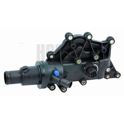 TERMOSTAT LICHID RACIRE