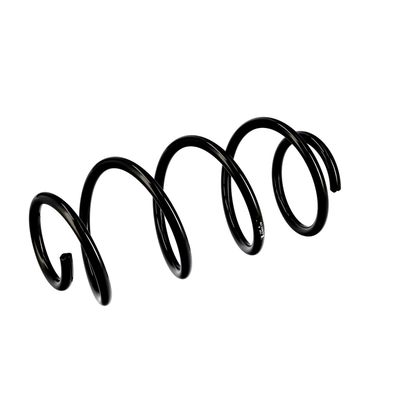 ARC SPIRAL EIBACH R10521 17