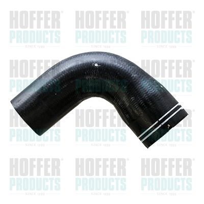 HOFFER 96665 Воздушный патрубок для FIAT DOBLO Автобус (263_) 2.0 D Multijet (263AXF1B)
