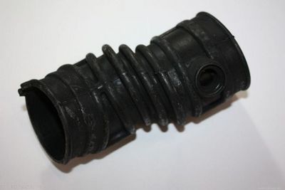 Nasávacia hadica, Vzduchový filter AUTOMEGA 130116610