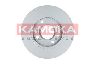 Brake Disc 1031990