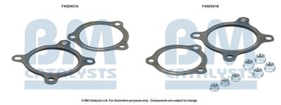 Zestaw montażowy, katalizator BM CATALYSTS FK92401