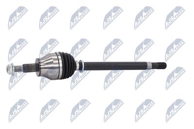 PLANETARA NTY NPWCH154 5