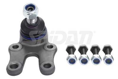 ARTICULATIE SARCINA/GHIDARE