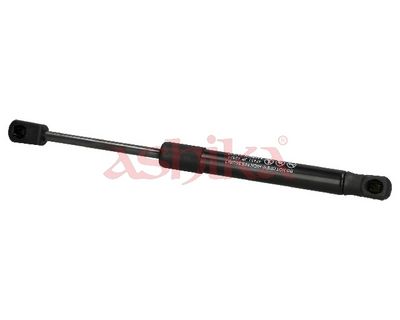 ZSA02021