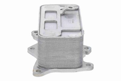 RADIATOR ULEI ULEI MOTOR VEMO V30600036 5