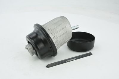 SUPORT MOTOR FEBEST TMGSE20F 48