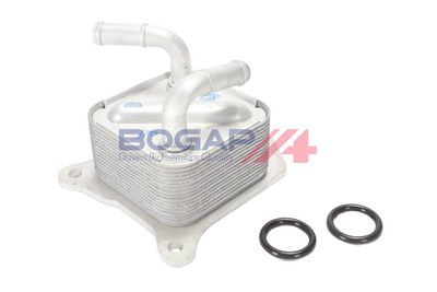 RADIATOR ULEI ULEI MOTOR BOGAP N4222101