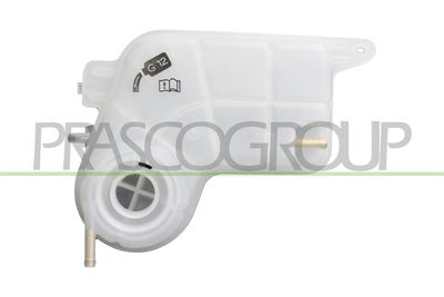 VAS DE EXPANSIUNE RACIRE