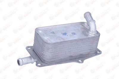 RADIATOR ULEI ULEI MOTOR BIRTH 80844 5