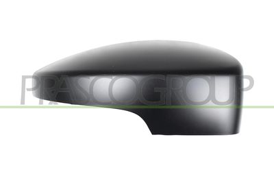 ACOPERIRE OGLINDA EXTERIOARA