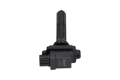 Kavo Parts Ritė, uždegimas