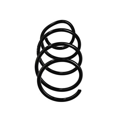 ARC SPIRAL EIBACH R11044 13