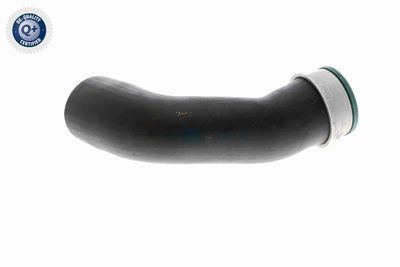 LADELUFTSCHLAUCH VAICO V102834 5