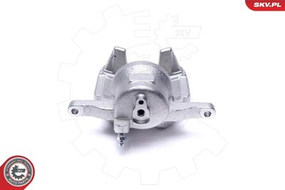 Brake Caliper 44SKV532