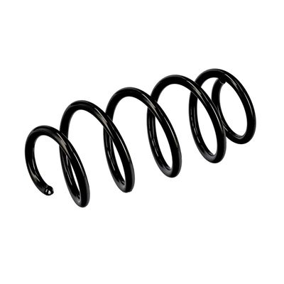 ARC SPIRAL EIBACH R10284 5