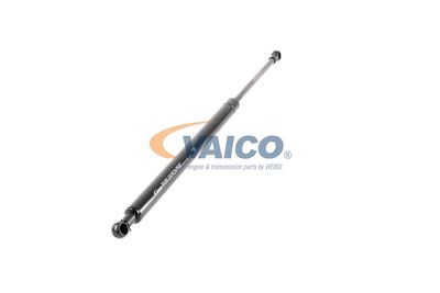 GASFEDER KOFFER-/LADERAUM VAICO V950402 52