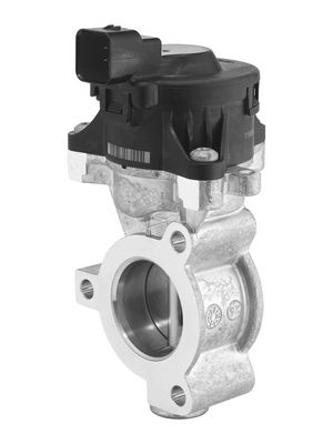 BorgWarner EGR Valve 710980D0