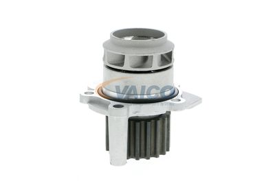 POMPă DE APă RăCIRE MOTOR VAICO V1050050 51