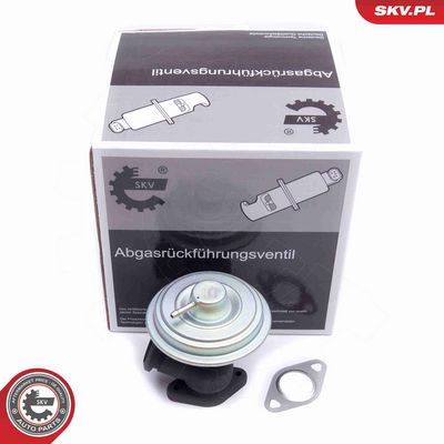 SUPAPA EGR ESEN SKV 14SKV203