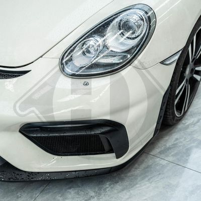 STOßFäNGER DIEDERICHS 2010251 1