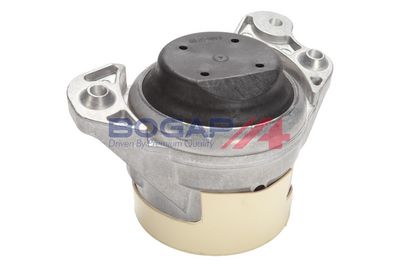 BOGAP Variklio montavimas