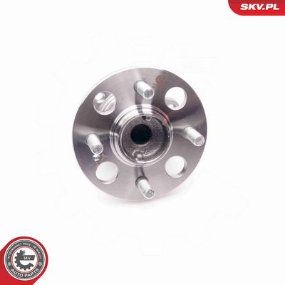 SET RULMENT ROATA ESEN SKV 29SKV120 3