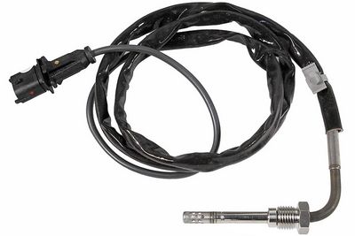 Sensor, Abgastemperatur