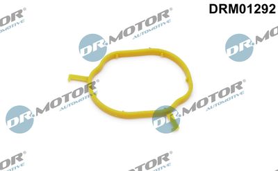 Dichtung, Kühlmittelrohrleitung Dr.Motor Automotive DRM01292