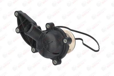 FLANSA LICHID RACIRE BIRTH 80179 3