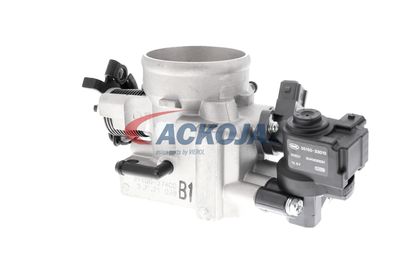 CARCASA CLAPETA ACKOJA A53810004 41