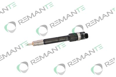 INJECTOR REMANTE 002003001713R 5