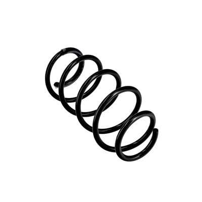 ARC SPIRAL EIBACH R10097 11