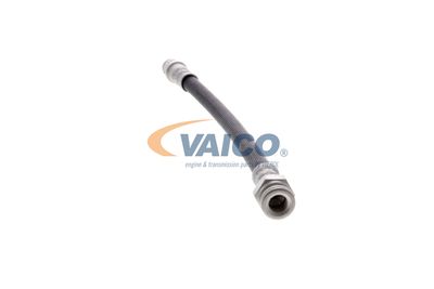 FURTUN FRANA VAICO V220616 12