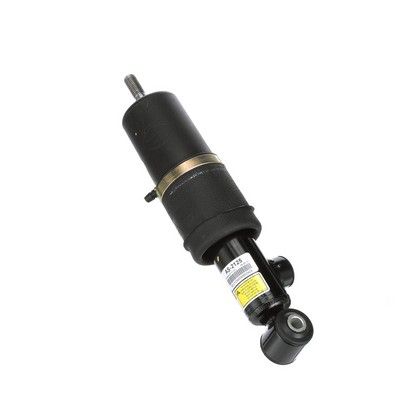 LUFTFEDERBEIN Arnott AS2125 58