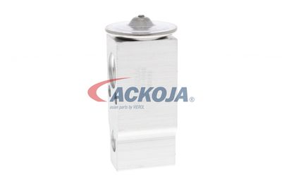 SUPAPA EXPANSIUNE CLIMA ACKOJA A52770008 46