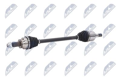 PLANETARA NTY NPWAR018 22