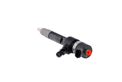INJECTOR REMANTE 002003001695R 20