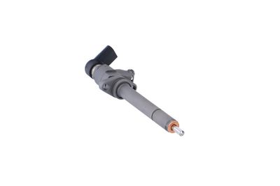INJECTOR REMANTE 002003000081R 52