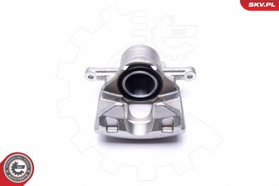 Brake Caliper 46SKV972