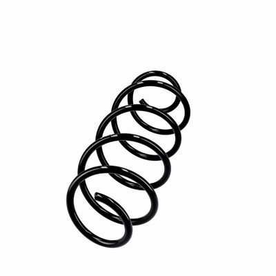 ARC SPIRAL EIBACH R10293 2