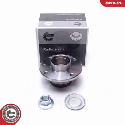 SET RULMENT ROATA ESEN SKV 29SKV544